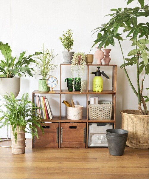 【まとめ買い有】【火曜まで格安】ACME / Troy open shelf S ACME Furniture 家具 TROY OPEN SHELF S トロイオープンシェルフ