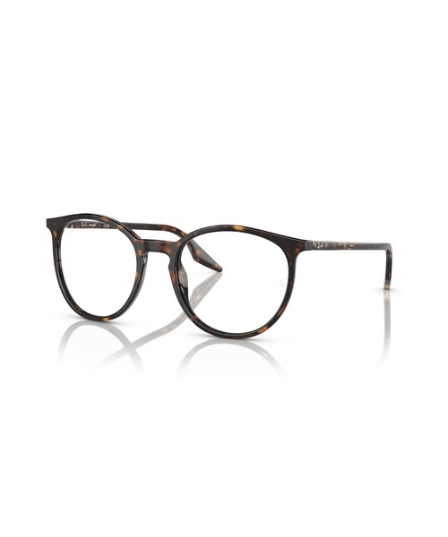 Ray Ban RB2204 サングラス(ブラウン) Ray-Ban RB2204 S (51 - 20) with Brown lenses and Brown frame