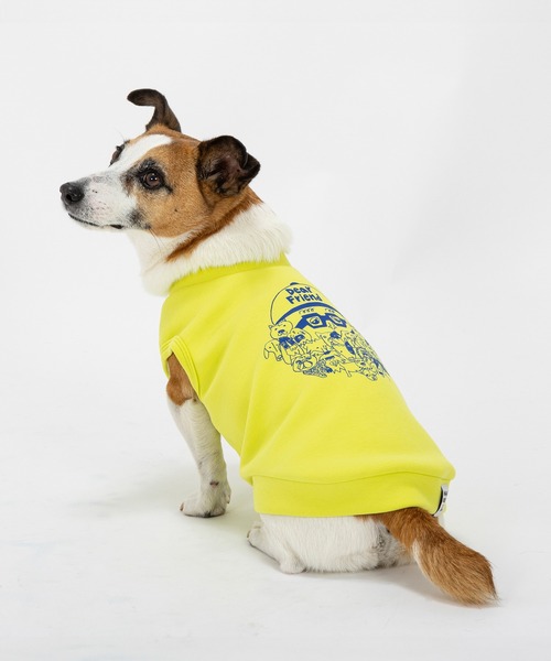 める様の専用　犬服　小型犬 MANDARINE BROTHERS（マンダリンブラザーズ） 犬 服 チービー