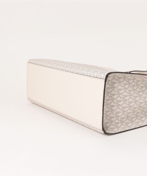 膳所焼 安南写雲錦絵茶碗 淡々斎花押の逸品 s397 膳所焼 安南写雲錦絵