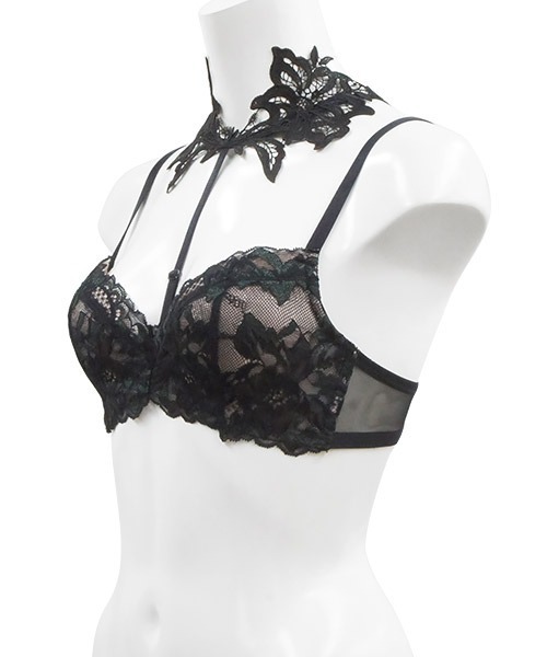 大人気新品セール ブ ANNEBRA（ファッション） ブラジャー Lily つけ襟デコルテメイク ルームウェア・パジャマ