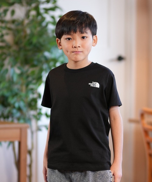 THE NORTH FACE tシャツ FACE/ザ・ノース・フェイス S/S BACK