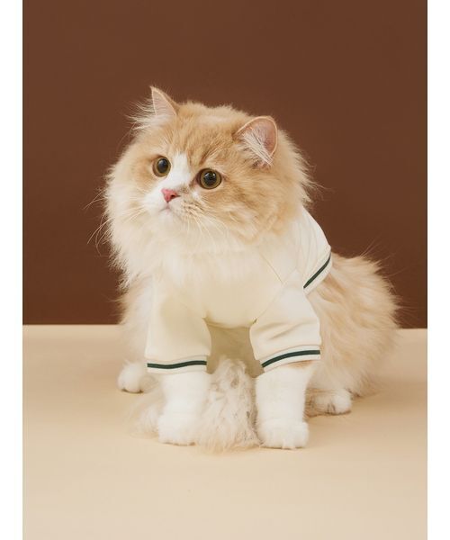 gelato pique（ジェラートピケ） 犬 服 「CAT＆DOG」チェリー柄裏毛