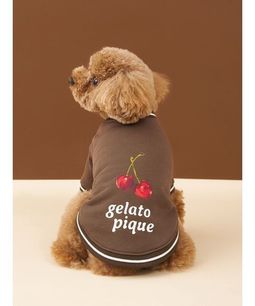 gelato pique（ジェラートピケ） 犬 服 「CAT＆DOG」チェリー柄裏毛