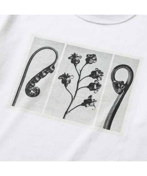 「Kinetics」 半袖Tシャツ FREE ブラック レディース_画像4