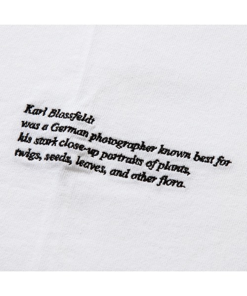 「Kinetics」 半袖Tシャツ FREE ブラック レディース_画像5