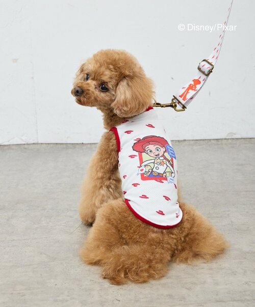 snow peak（スノーピーク） 犬 服 Snow Peak / Dog Down Jacket ドッグ