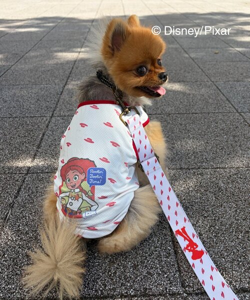 Disney（ディズニー） 犬 服 「KIDS」「TOY STORY/トイ・ストーリー