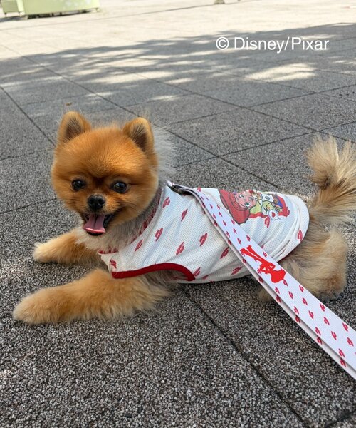Disney（ディズニー） 犬 服 「KIDS」「TOY STORY/トイ・ストーリー