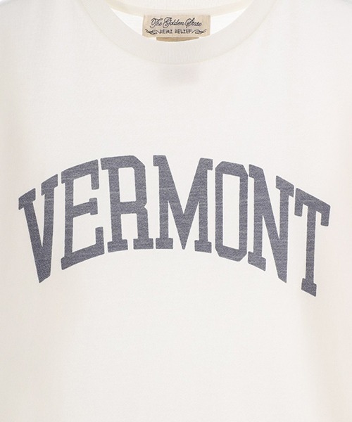 tシャツ REMI RELIEF / レミレリーフ：別注コットンキュプラT（VERMONT）：RN26349347AKS「STD」 メンズ | REMI RELIEF | 03