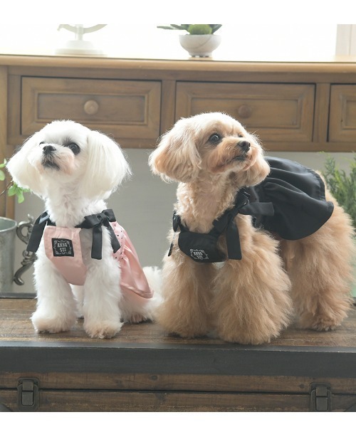 ANNA SUI（アナスイ） 犬 服 ANNA SUI/ドットキャミワンピース