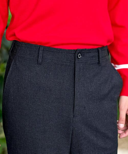 DRESSTERIOR（ドレステリア） パンツ 「セットアップ可/Monomax11月号