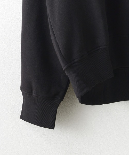 「THE NORTH FACE」 スウェットカットソー L ブラック レディースの画像