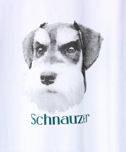 GLOSTER（グロスター） tシャツ 「シリーズ累計人気」DOG＆CAT