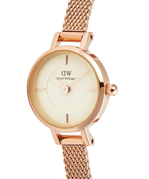 Daniel Wellington 腕時計 Petite Mini Extension 19MM