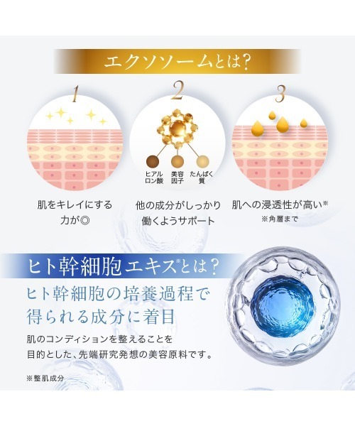 NANOA（ナノア） 化粧水 SCローション : ZOZOTOWN Yahoo!店 - 通販