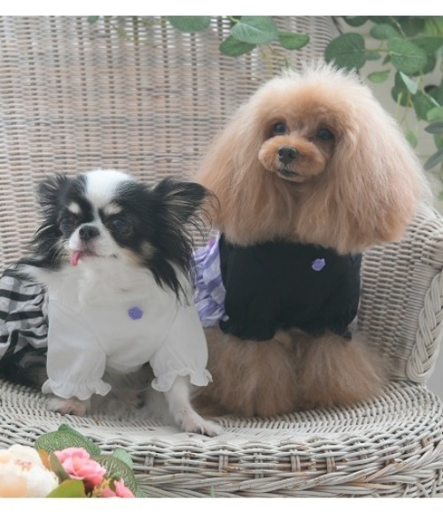 ANNA SUI（アナスイ） 犬 服 ANNA SUI/ギンガムチェックドッキング
