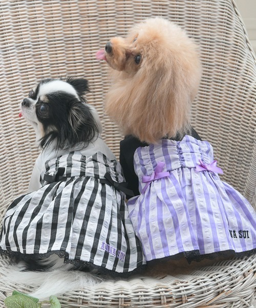ANNA SUI（アナスイ） 犬 服 ANNA SUI/ギンガムチェックドッキング