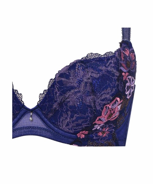 Triumph（トリンプ） ブラジャー 天使のブラ スリムライン レッド