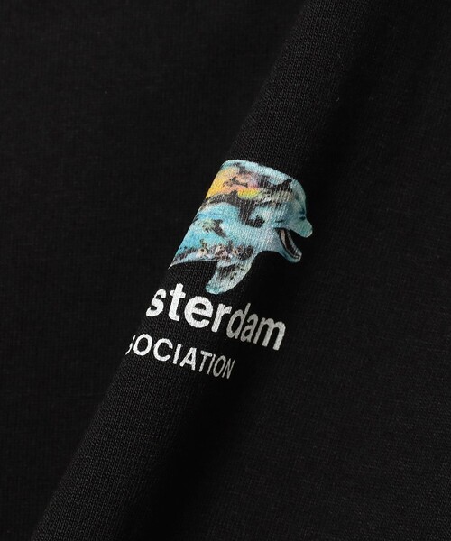 BEAMS T（ビームスT） tシャツ New Amsterdam Surf Association