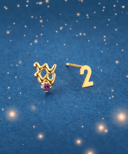 ピアス K18 星座/ホロスコープ ピアス レディース メンズの画像