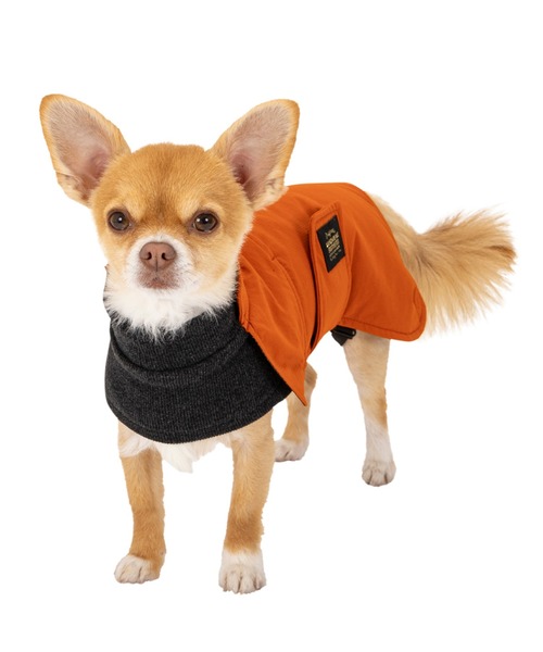 MANDARINE BROTHERS（マンダリンブラザーズ） 犬 服 ラップジャケット