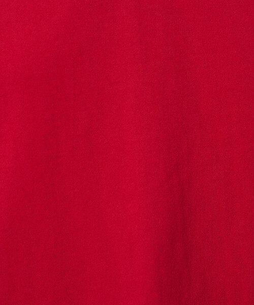 tシャツ 限定展開　バスク ロング スリーブ Tシャツ レディース | FREAK'S STORE | 21