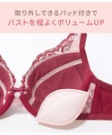 ブラジャー ショーツセット 「選べるデザイン♪...の詳細画像1