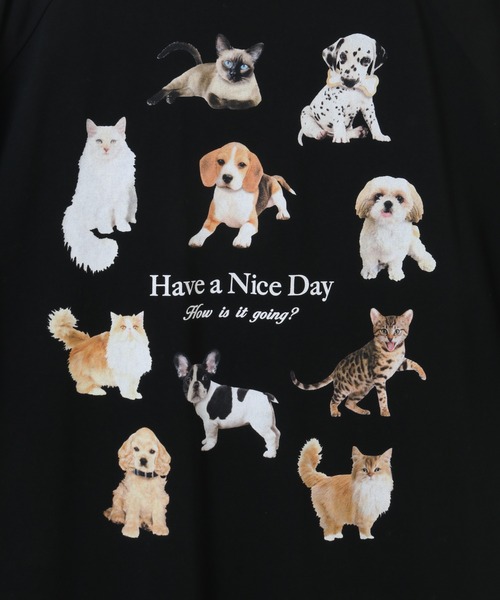 「Candy Stripper」 半袖カットソー FREE チャコール レディース_画像2