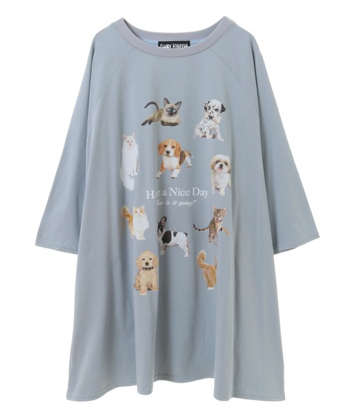 「Candy Stripper」 半袖カットソー FREE チャコール レディース_画像4