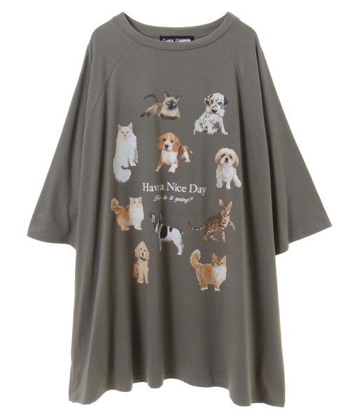 「Candy Stripper」 半袖カットソー FREE チャコール レディース_画像5