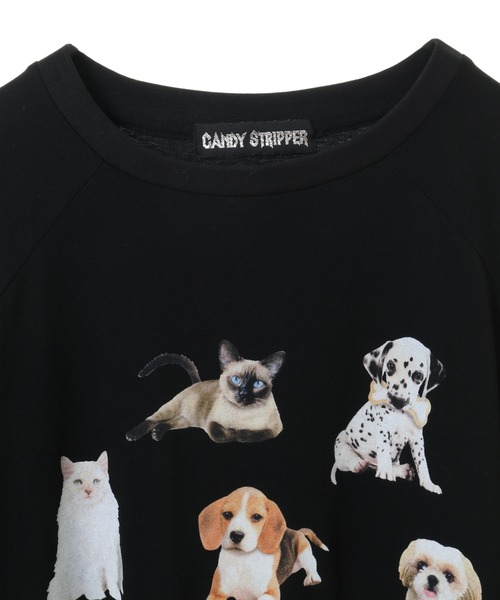 「Candy Stripper」 半袖カットソー FREE チャコール レディース_画像7