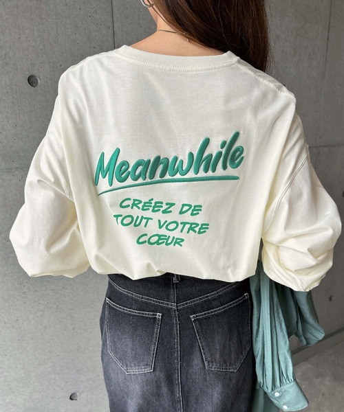 tシャツ エンブロイダリー ジャージー Tシャツ レディース tシャツ エンブロイダリージャージー カットソー レディース