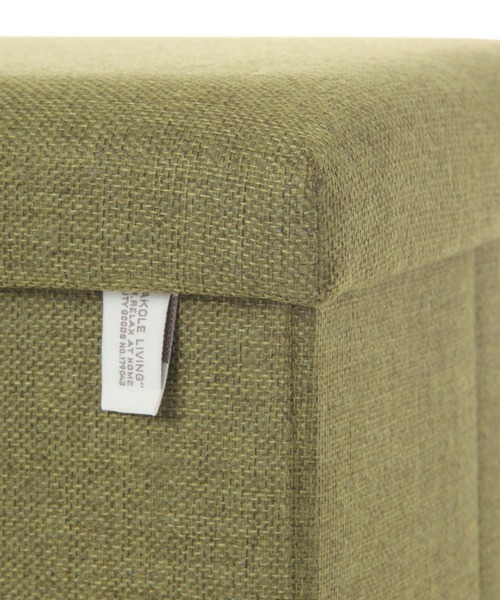 収納 「収納力抜群・椅子にもなる」ストレージスツール「カラー」(W48cm) / 284428 | LAKOLE | 19