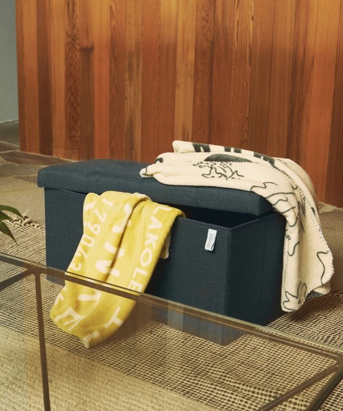 収納 「収納力抜群・椅子にもなる」ストレージスツール「カラー」(W48cm) / 284428 | LAKOLE | 03