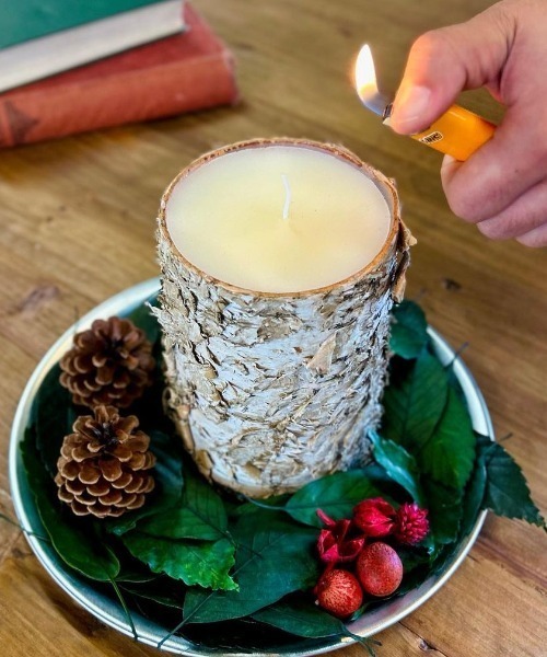 DULTON（ダルトン） キャンドル BIRCH WOOD LOG CANDLE S/ バーチ