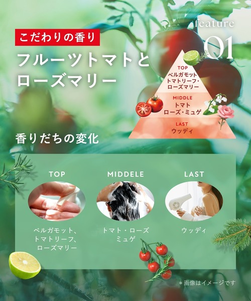 ローズマリー様 リクエスト 5点 まとめ商品 BOTANIST（ボタニスト） シャンプー 2025年夏限定 フルーツトマト