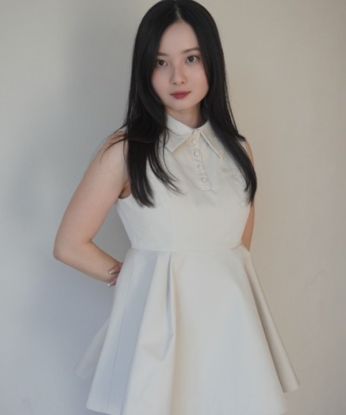 eimy stoire ウエスト切替シャツカラーフレアTOPS eimy istoire tシャツ ウエスト切替シャツカラーフレアTOPS