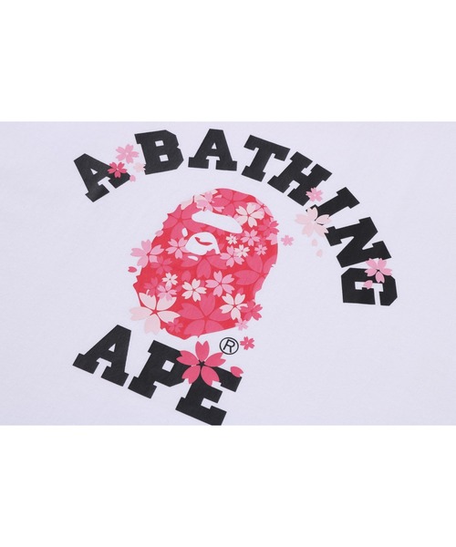 tシャツ SAKURA COLLEGE TEE メンズ レディースの画像