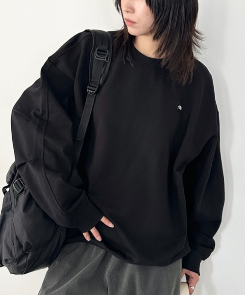 日本未発売【新品】ノースフェイス スウェット ビックロゴ XL THE NORTH FACE（ザ ノースフェイス） ノースフェイス トレーナー