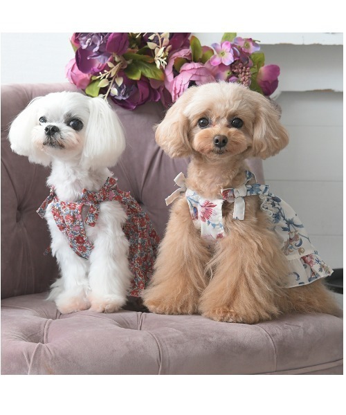 LAURA ASHLEY（ローラアシュレイ） 犬 服 LAURA ASHLEY/スモッキング