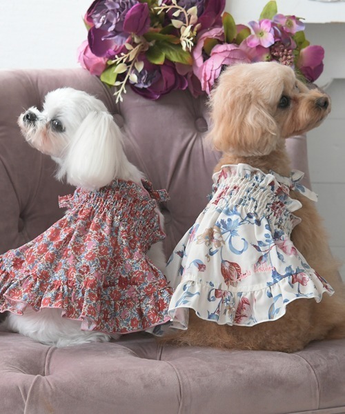 犬服 GG ローラ キャミソール LAURA ASHLEY（ローラアシュレイ） 犬 服 LAURA ASHLEY/スモッキング