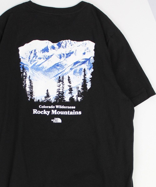 tシャツ 「THE NORTH FACE」ノースフェイス W S/S Places We Love Tee グラフィックTシャツ NF0A86VC レ
