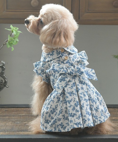 LAURA ASHLEY 犬 服 ASHLEY/リボンワンピース : ZOZOTOWN Yahoo