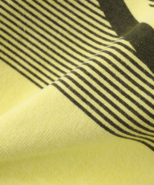 C.E（シーイー） トレーナー スウェット cavempt OVERDYE MD a2d LIGHT