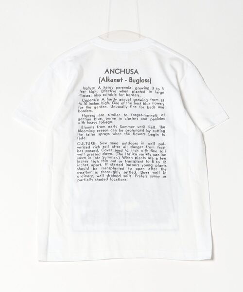 「niche.」 半袖Tシャツ M ホワイト メンズ_画像2