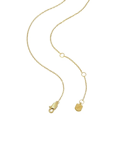 ネックレス フォッシル アクセサリー レディース ネックレス ゴールド JF04865710 レディースの画像