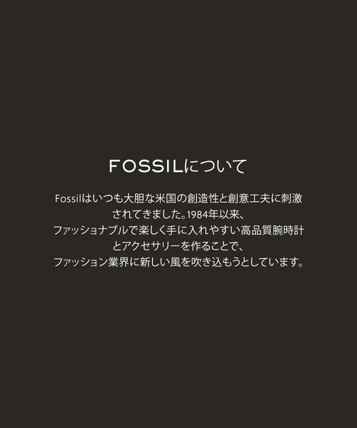 ネックレス フォッシル アクセサリー レディース ネックレス ゴールド JF04865710 レディースの画像