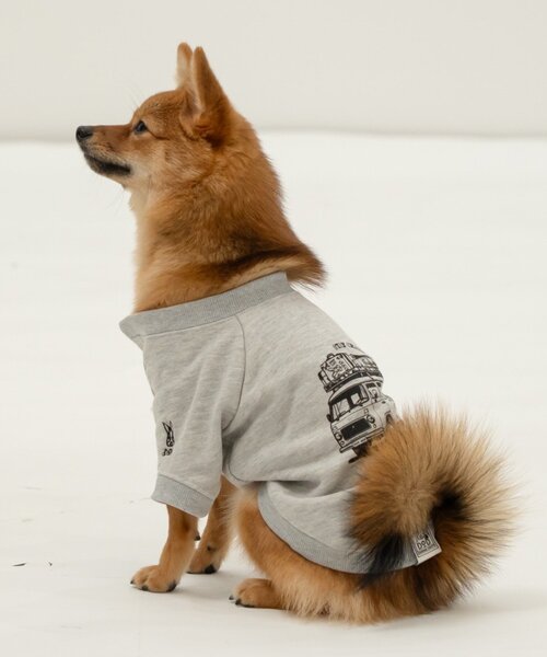 DOD（ディオーオーディー） 犬 服 「一部店舗限定」「DOD」「ドッグ