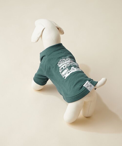 犬の服 楽天市場】背開きメッシュシャツ XS/S/M/L/XL/XXL/DXS/DS/DM D's Chat